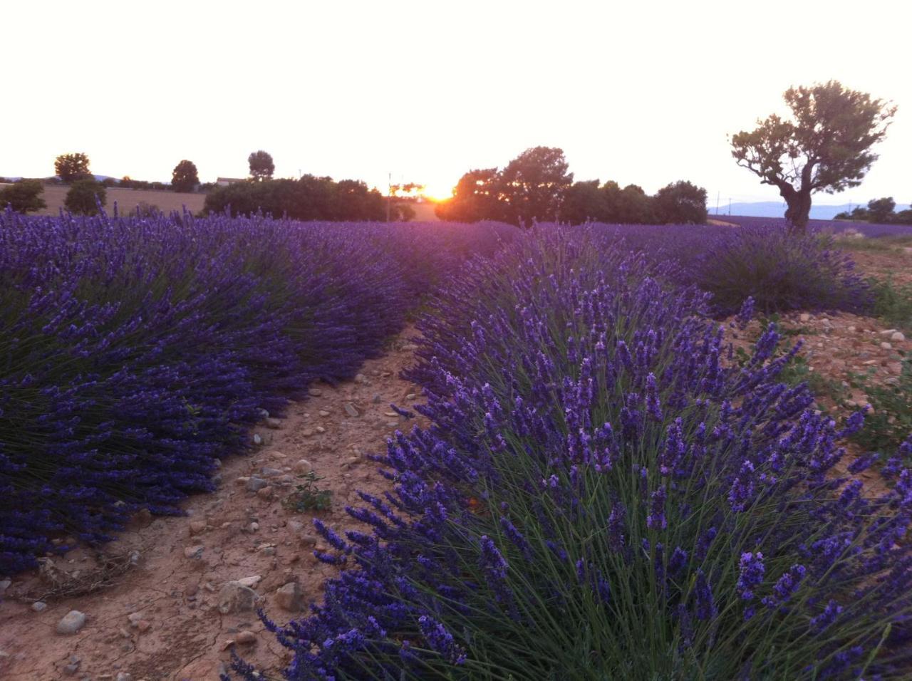 Le Petit Caboulot En Pleine Nature Vaumeilh Zewnętrze zdjęcie